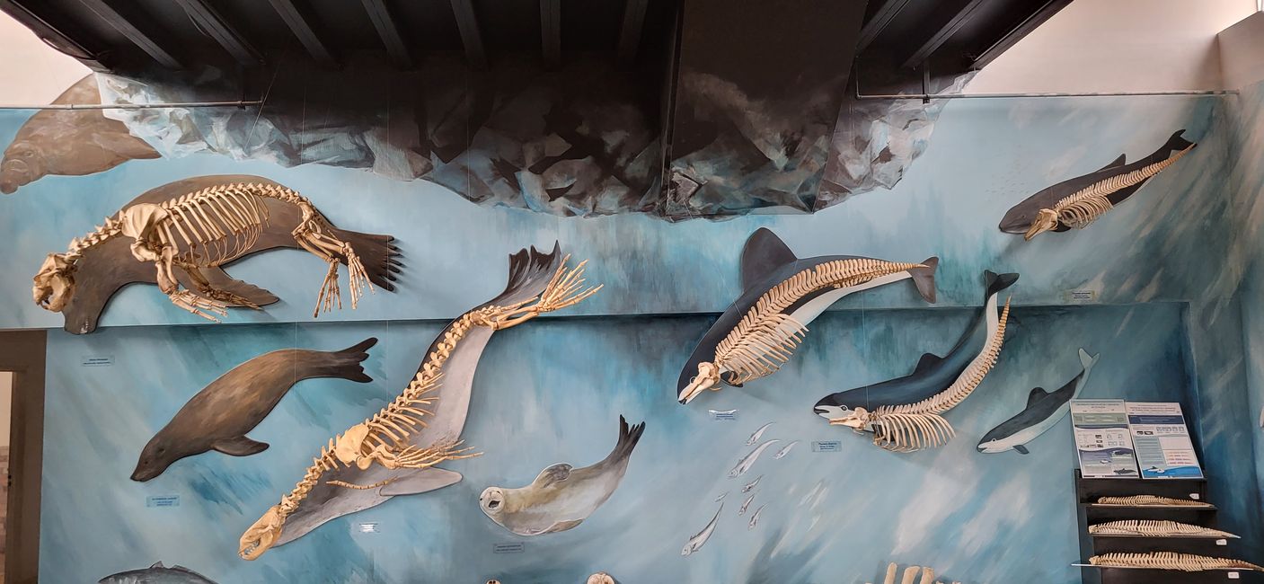 Museum "Fin Del Munde"