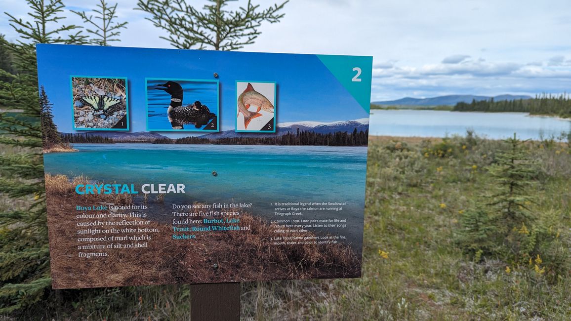 Tag 19: Boya Lake (Tā Ch’ilā Park): Kanufahren auf dem schönsten See Kanadas