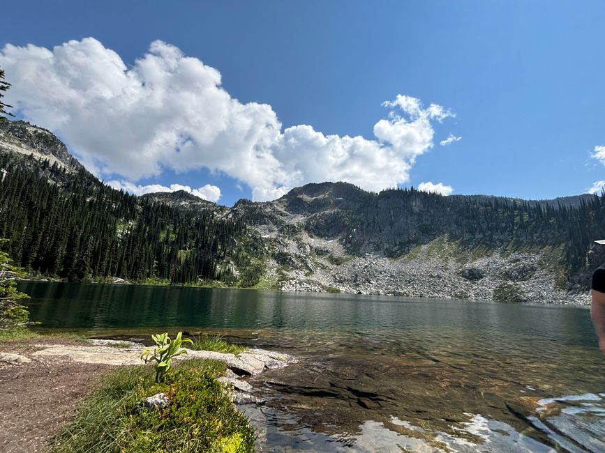 Tag 8 - Mount Revelstoke National Park