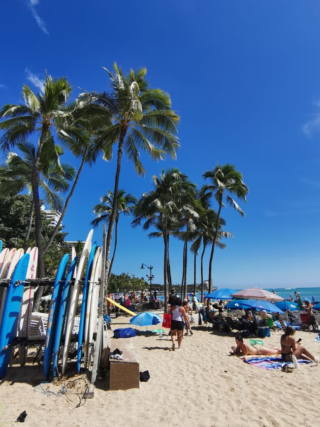 Hawaii - Waikiki Beach