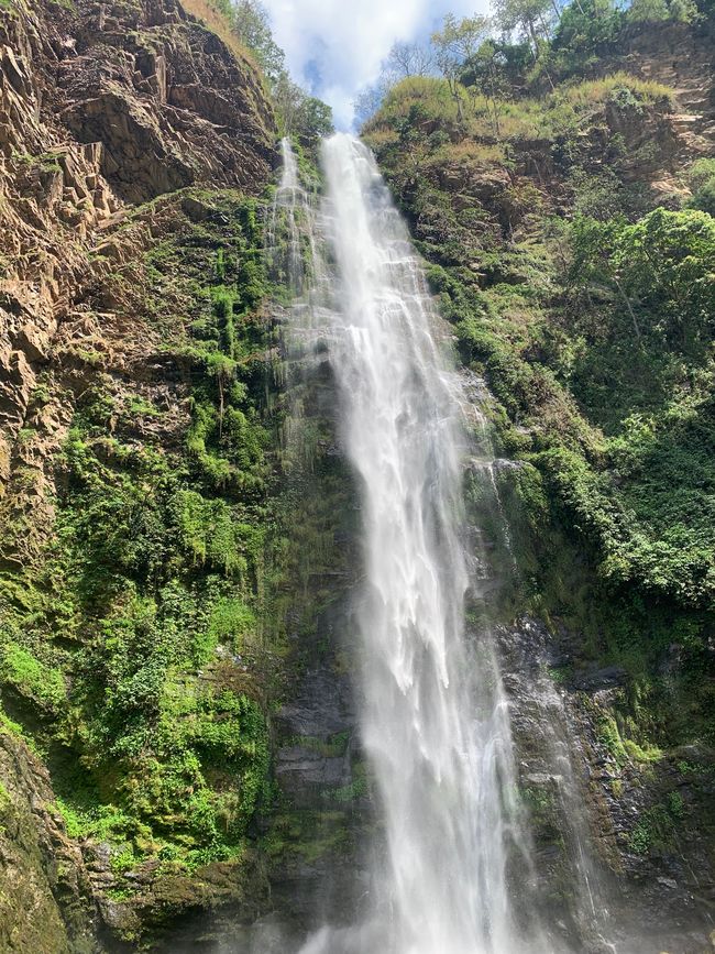 Chutes d'eau de Wli, Sanctuaire des Singes de Tafi, Mont Gemi