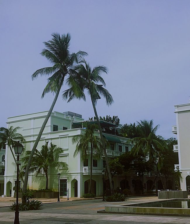 匿名的新建小区
