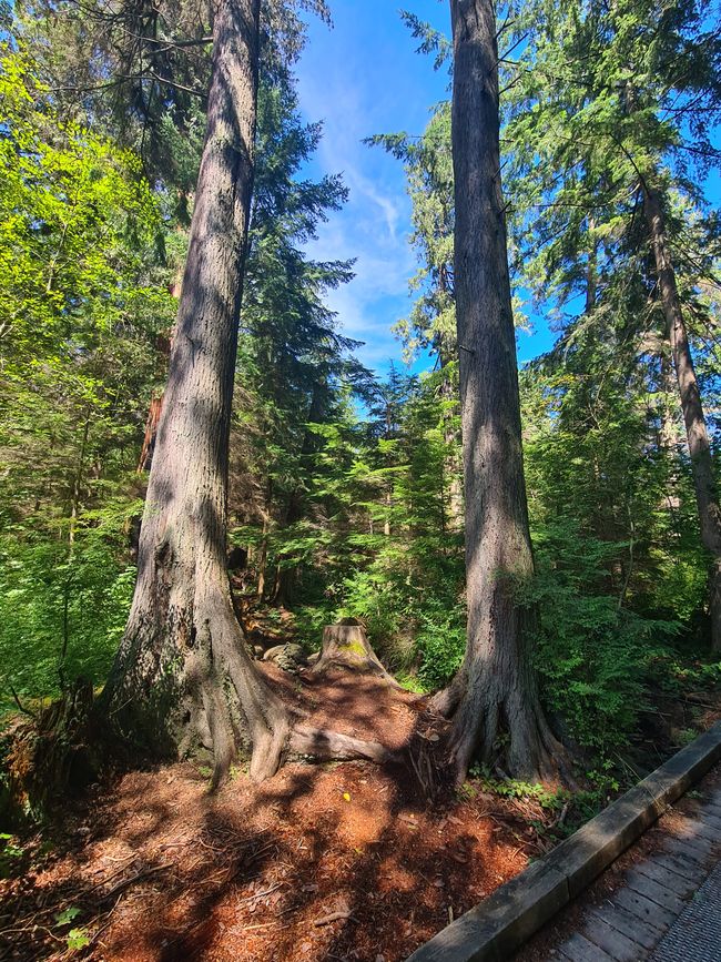 Cathedral Trail