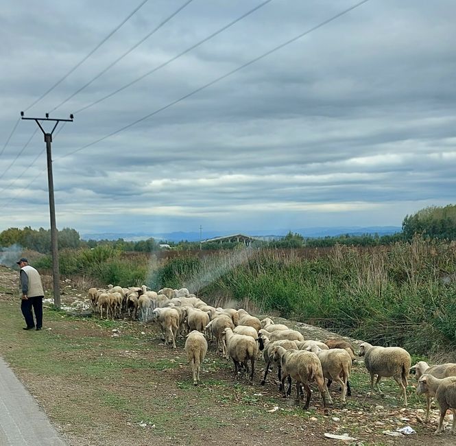Addio all'Albania