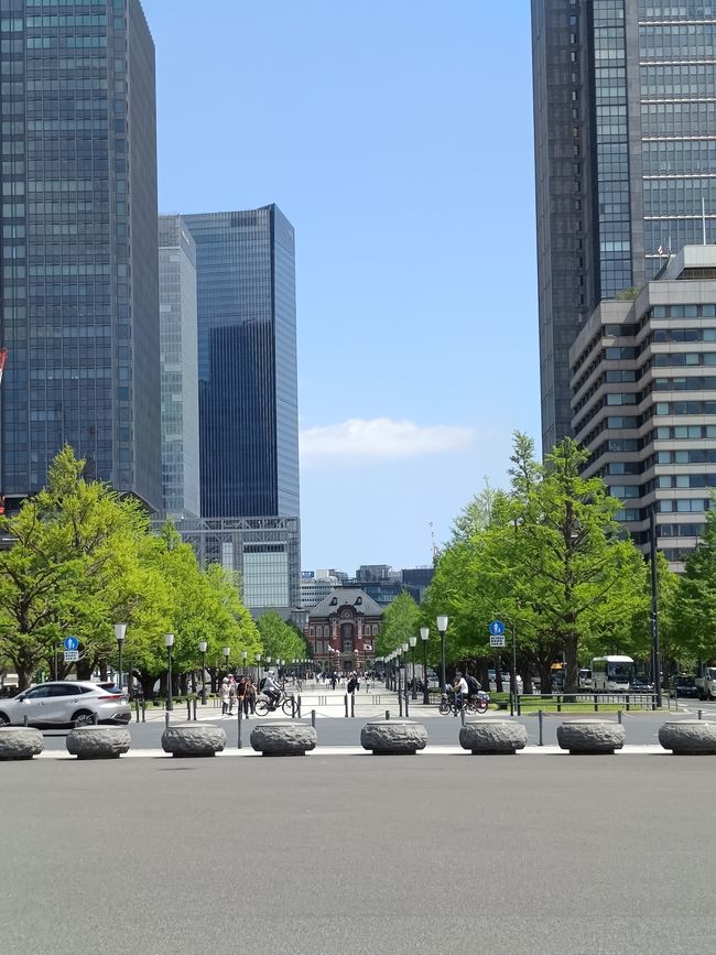 Tokyo auf eigene Faust