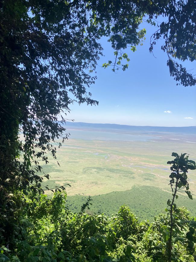 Il Cratere di Ngorongoro