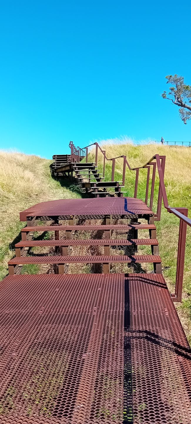 Maungawhau / Mont Eden