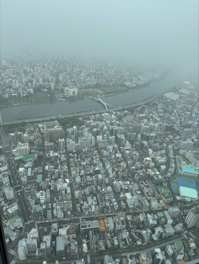 Skytree - cloudy