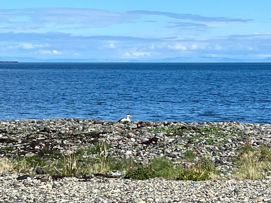 Grundarfjördur