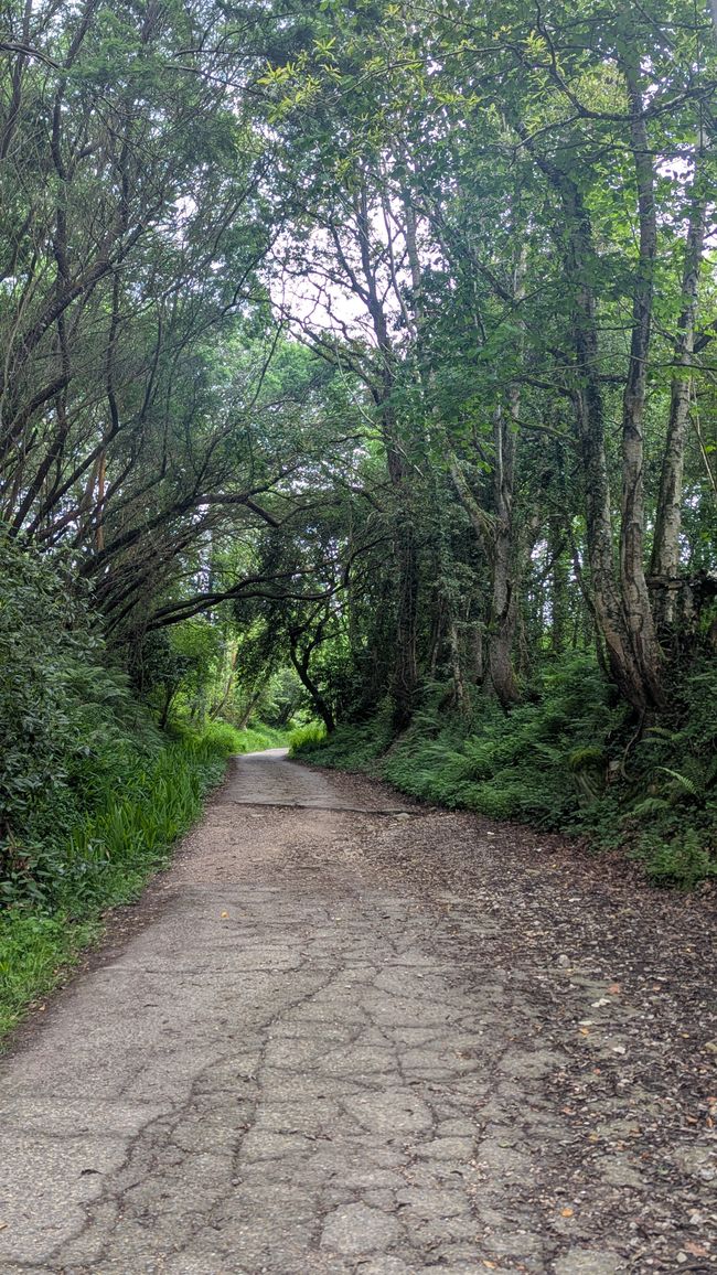 13. Stage Camino del Norte from Barro to Camango
