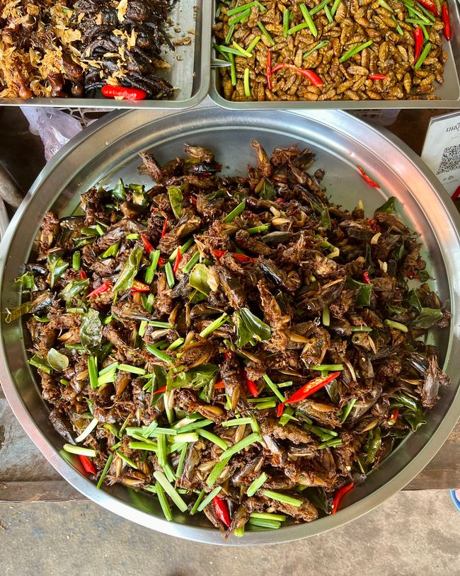 Skun, frittierte Insekten