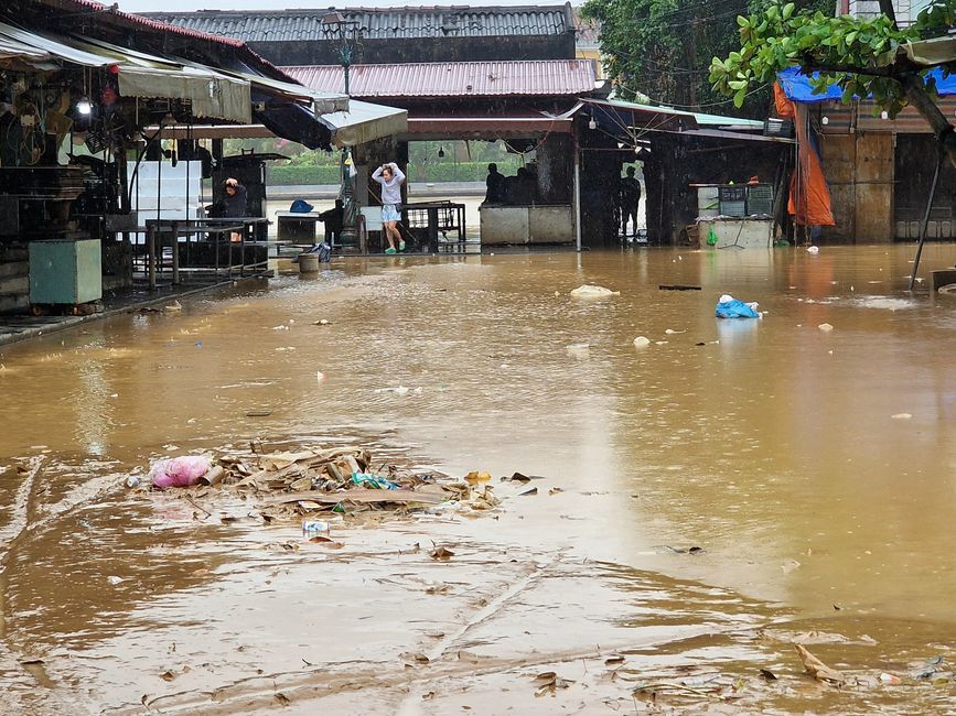 Vorüber die Flut.
Wer sah es wohl, du selig Land, 
wie dich die Welle überwand.