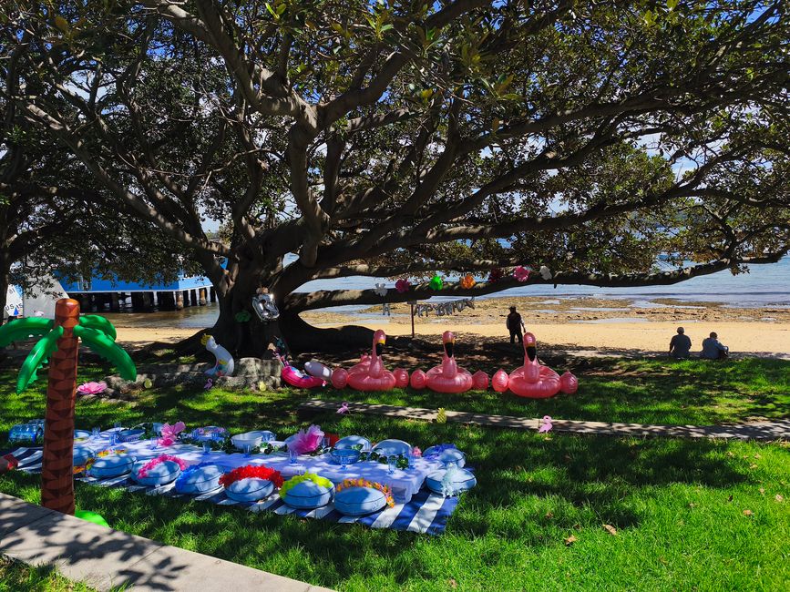 Le baie e le spiagge di Sydney ....
