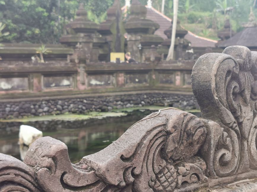 Excursión de un día a Ubud y Tegallalang