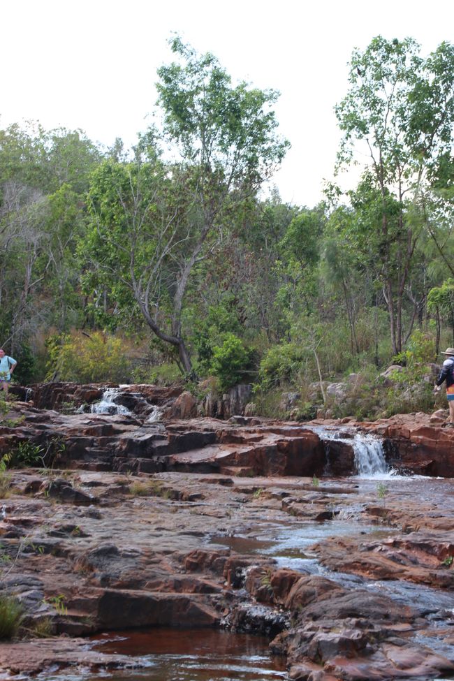 Day 27: On the road in Litchfield National Park