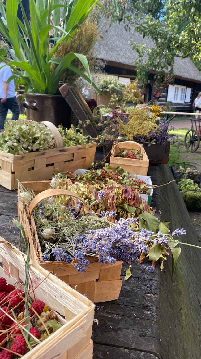 Spreewald like in the old days – A rewarding trip to Lehde