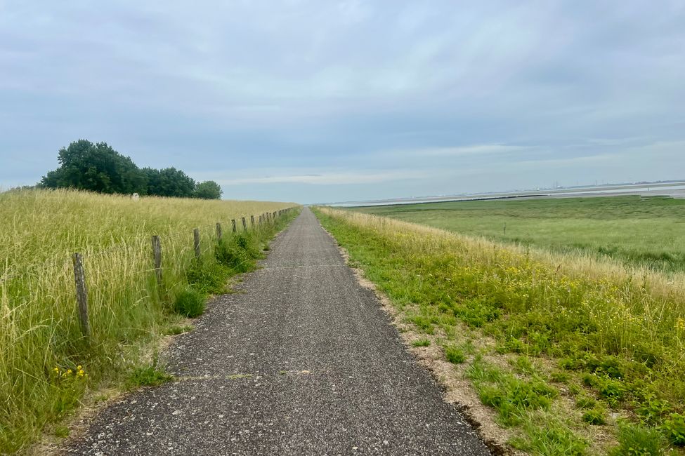 NL-FR-BE 2026 - Tag 04 Antwerpen-Brügge