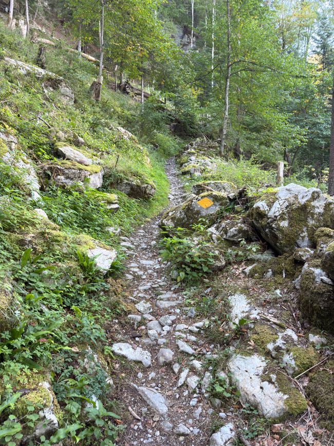 Día 13: Via Jacobi Lungern-Brienz