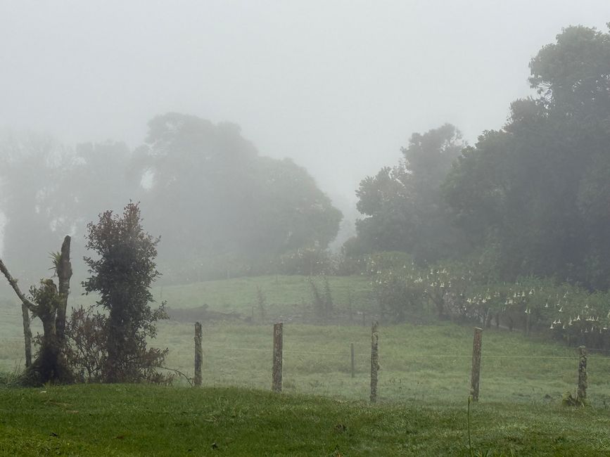 También en la carretera hay obstáculos