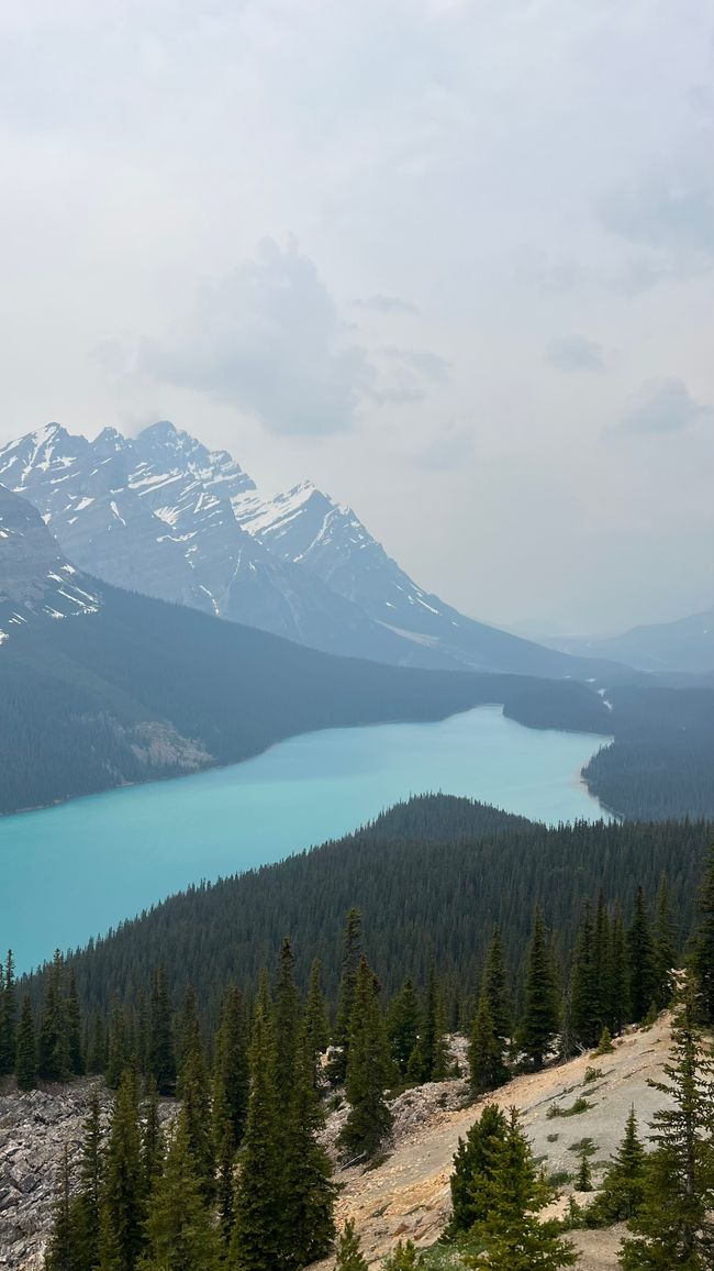 Icefield Parkway