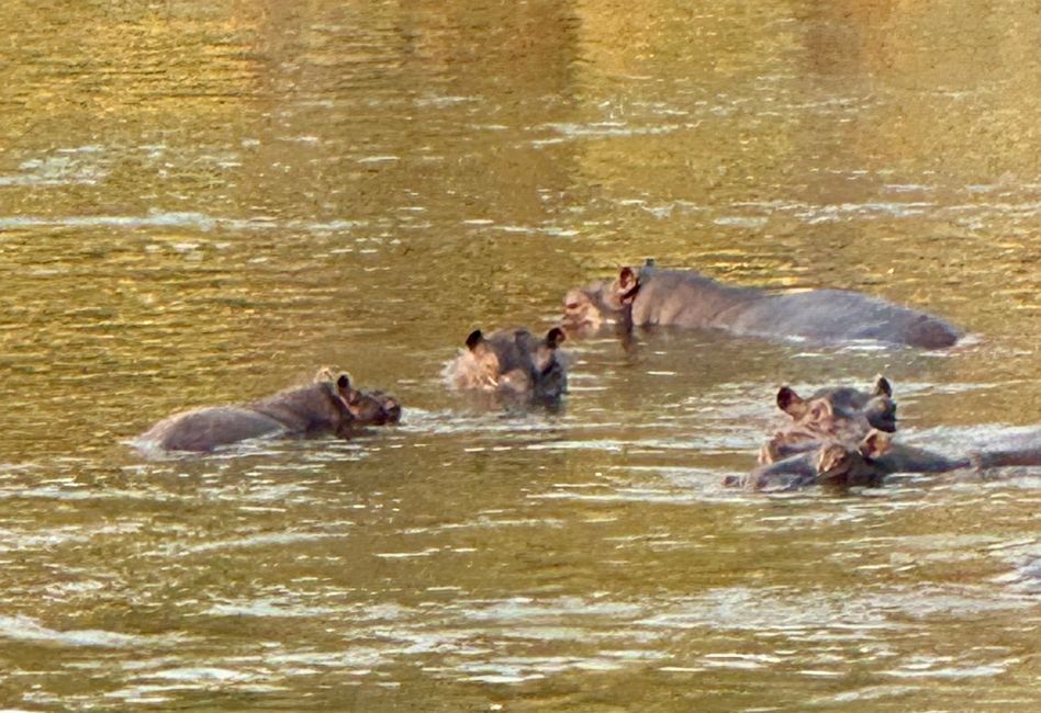 Entlang des Okavango