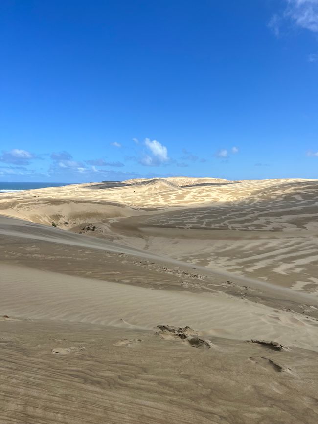 Sand Dunes 