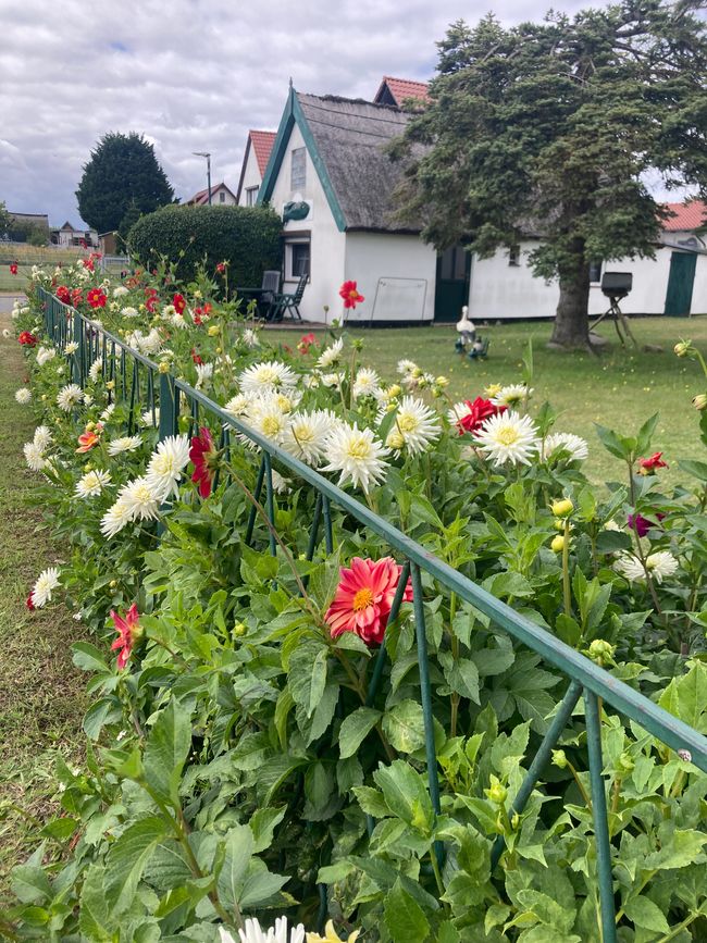 Karlshagen - immer mehr, immer mehr, immer mehr…