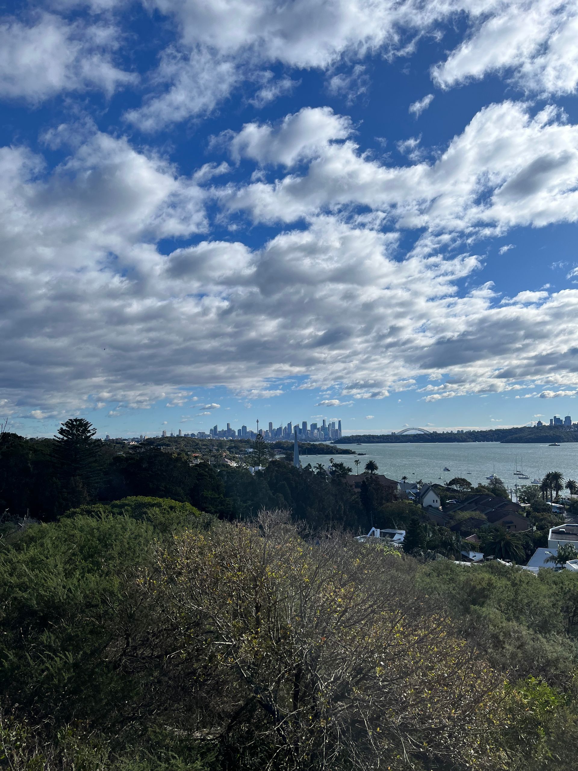 Coastal Walk - North Bondi to Watsons Bay