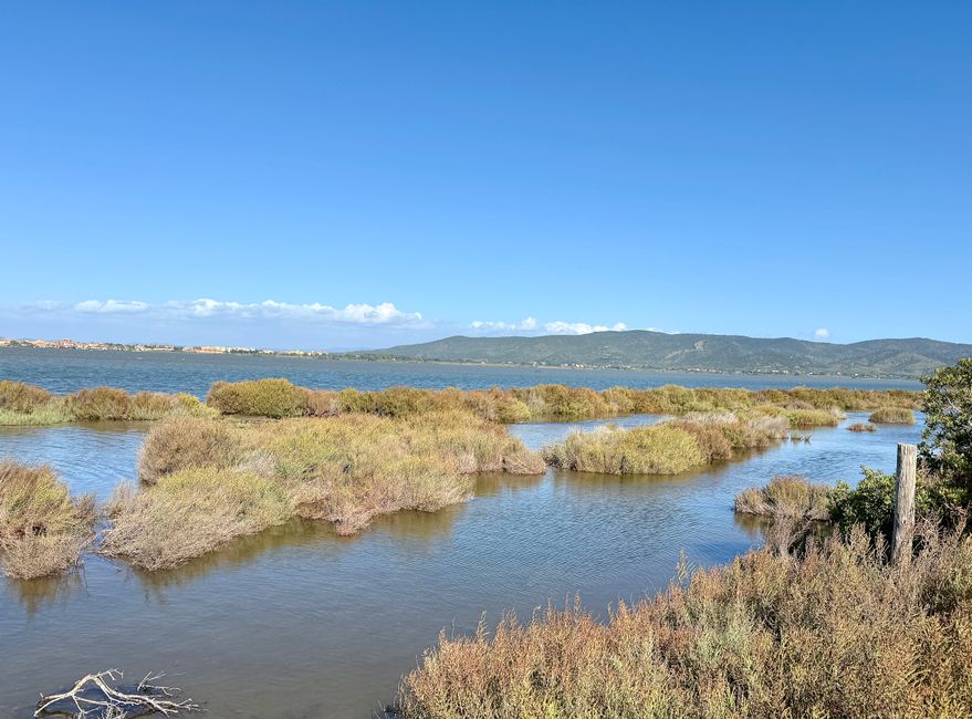 Die Lagune ist keine zwei Meter tief, weshalb sich viele kleine Inselchen bilden können.