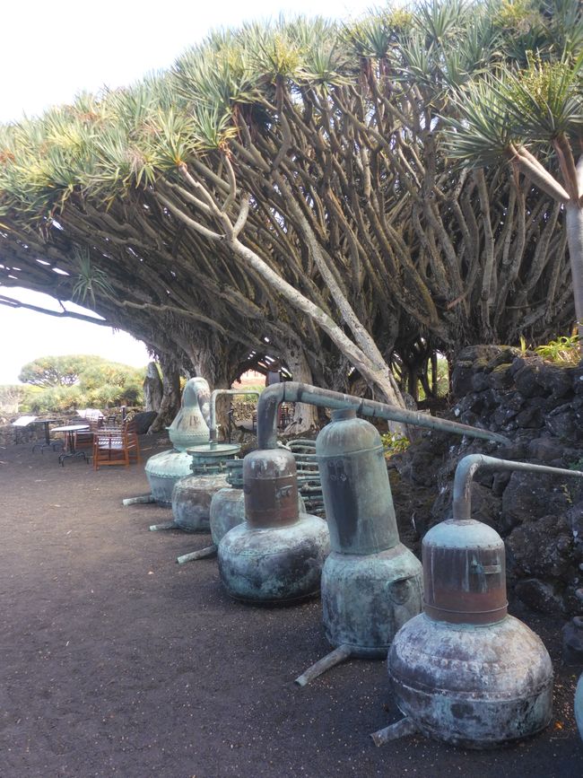 2025-08-08 Pico, Azoren