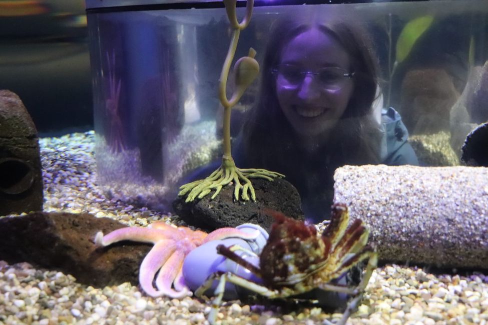 Eins Julia im Aquarium 