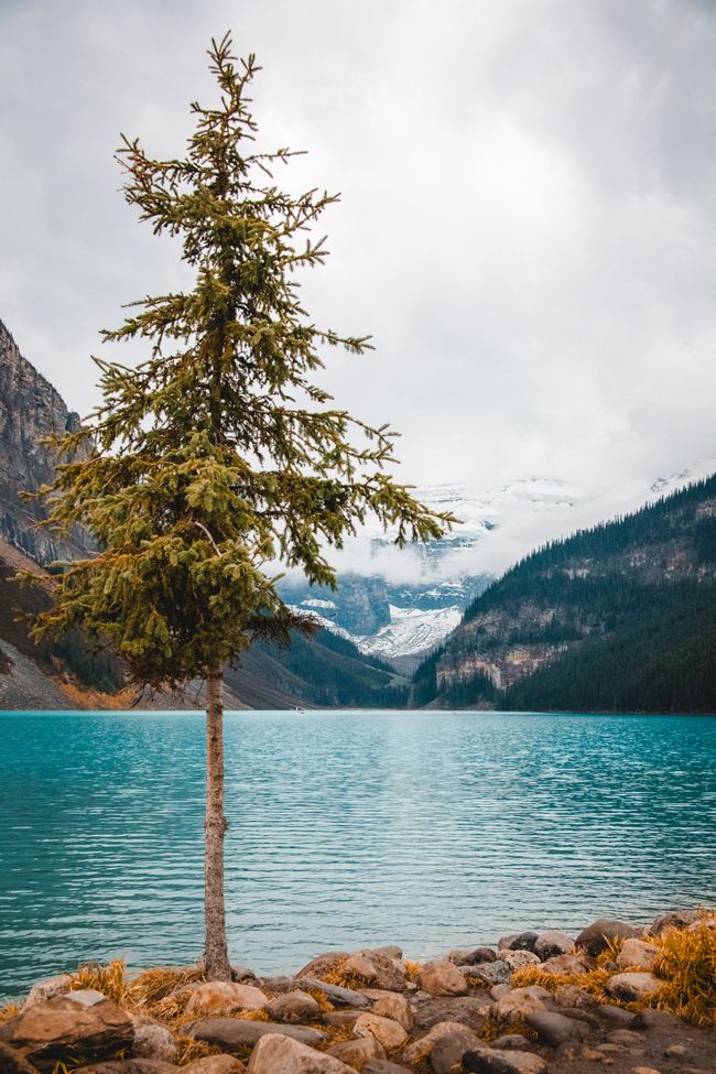 Lake Louise