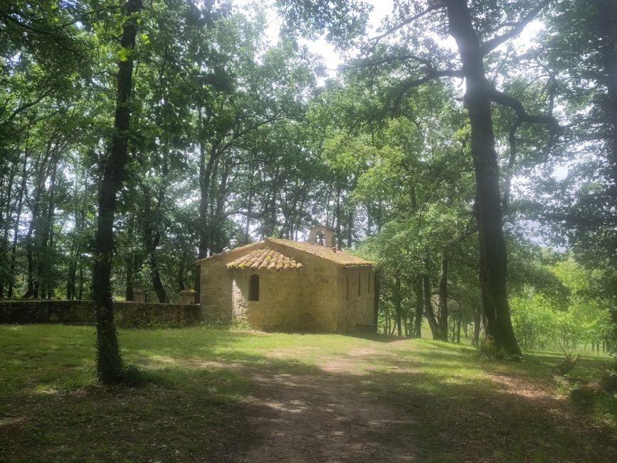 Sonnenstrahlen in kurzer Regenpause
