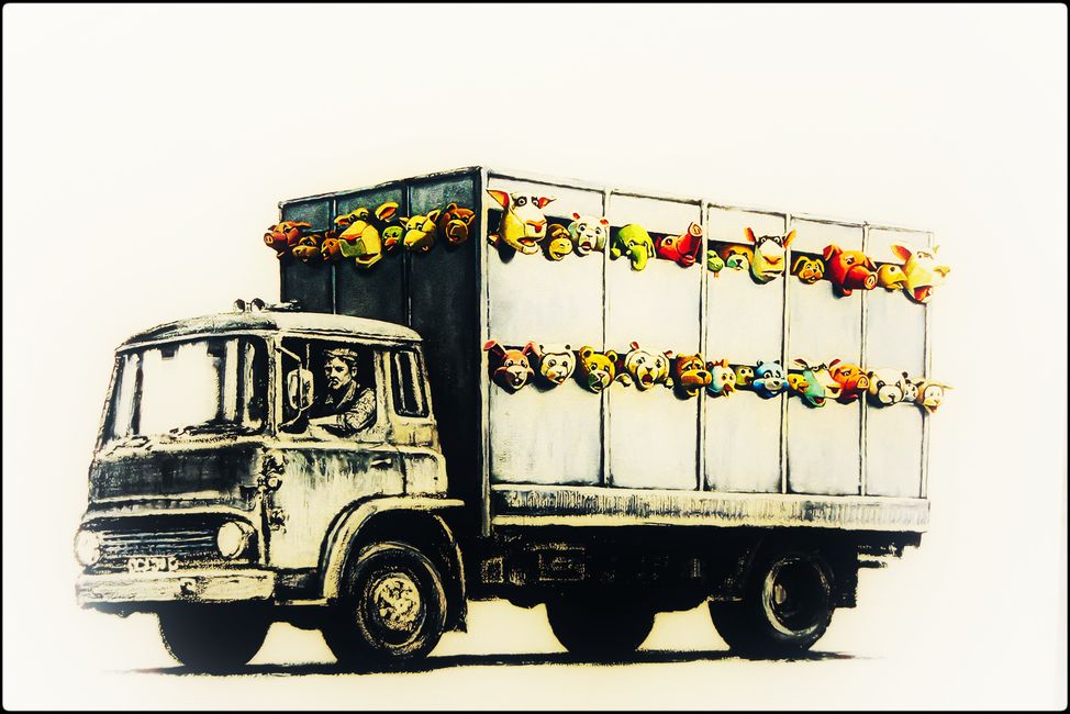 Gegen Viehtransporte