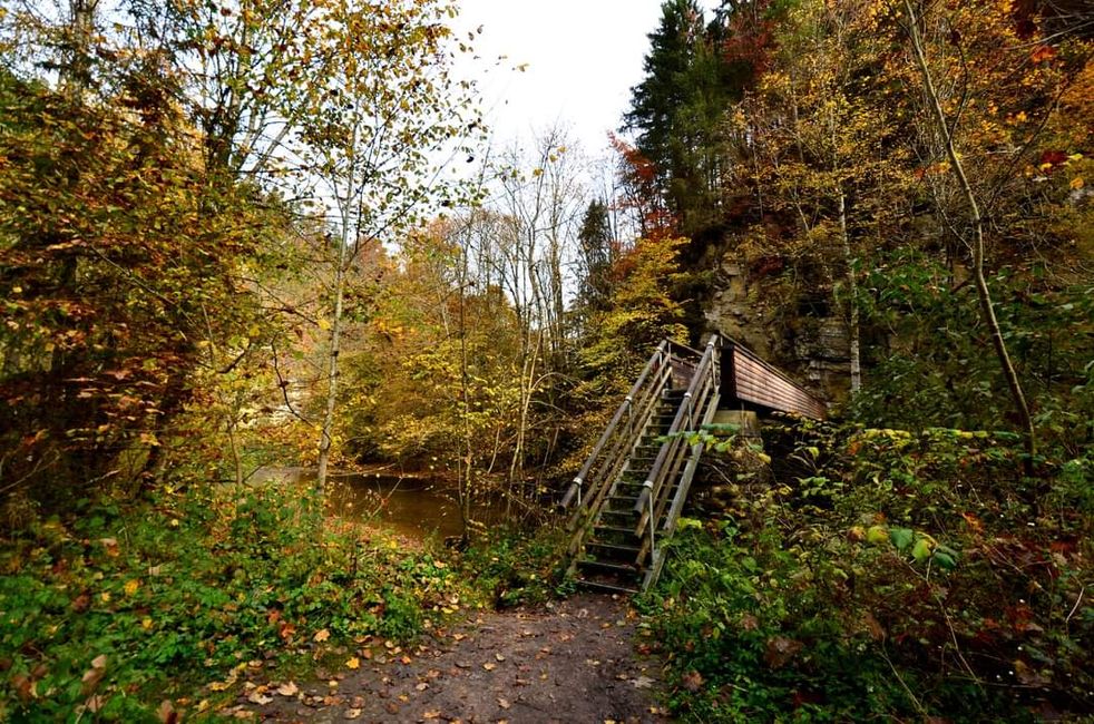 Autumn hiking in the Wutach Gorge: Red, yellow, orange... and you're right in the middle!