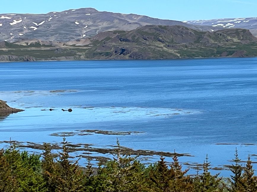 Westfjorde