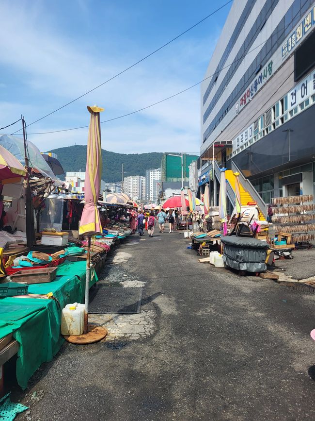 Jagalchi Markt - morgens noch recht leer