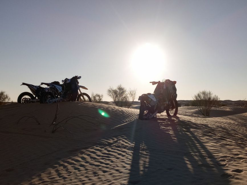 Sahara Impressionen