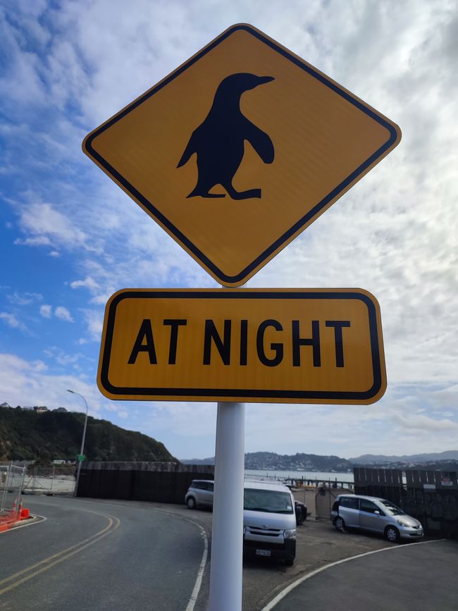 vorsicht Party Pinguine