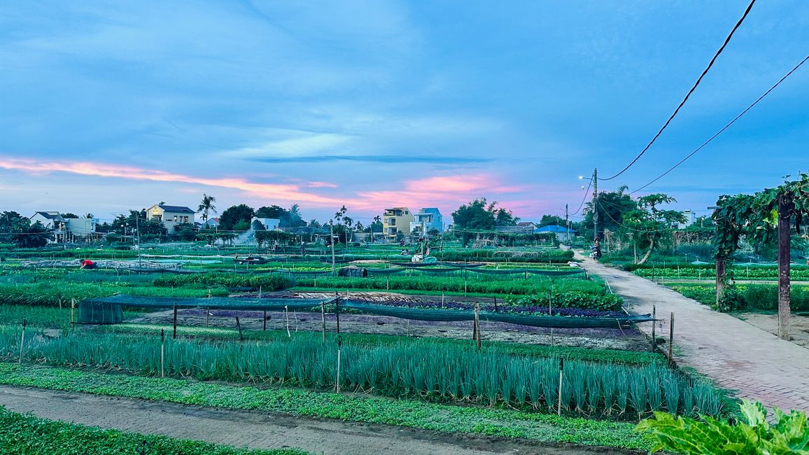 Llegada a Vietnam
