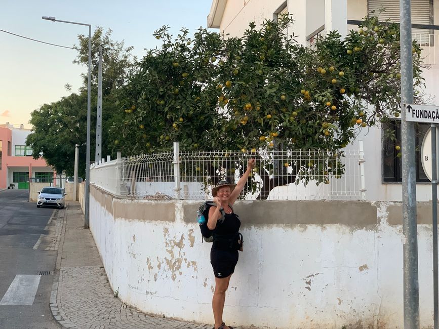 Tavira und der Cemitério de Âncoras
