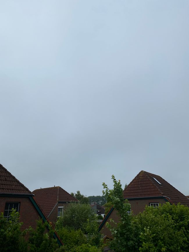 Morgennebel in Carolinensiel