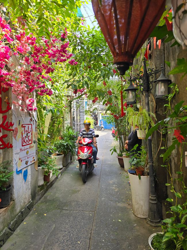 再见，西贡！