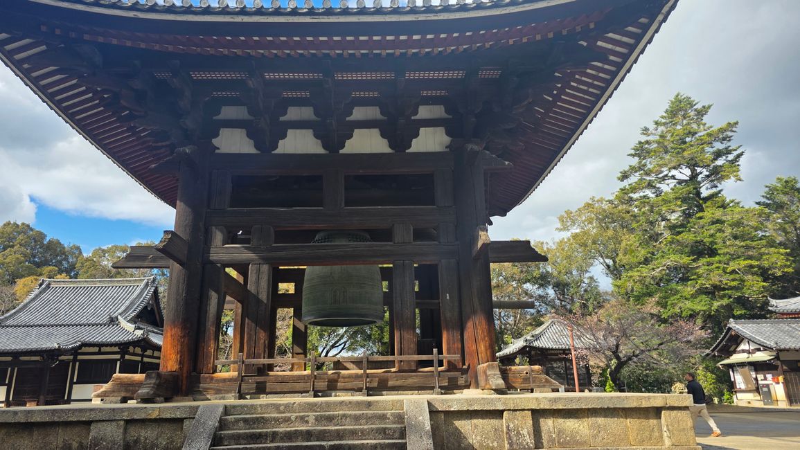 Osaka 'kuidaore' ➡️ mangiare fino a cadere