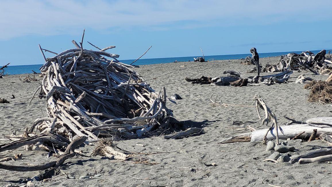 29.Januar-27.Februar 2025 Neuseeland
14.Februar