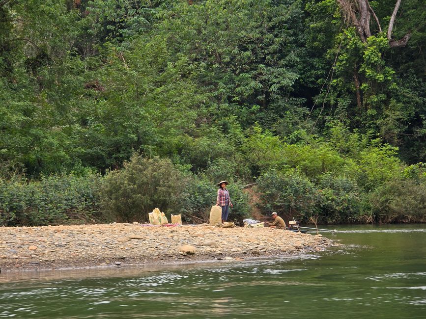 Muang Ngoy