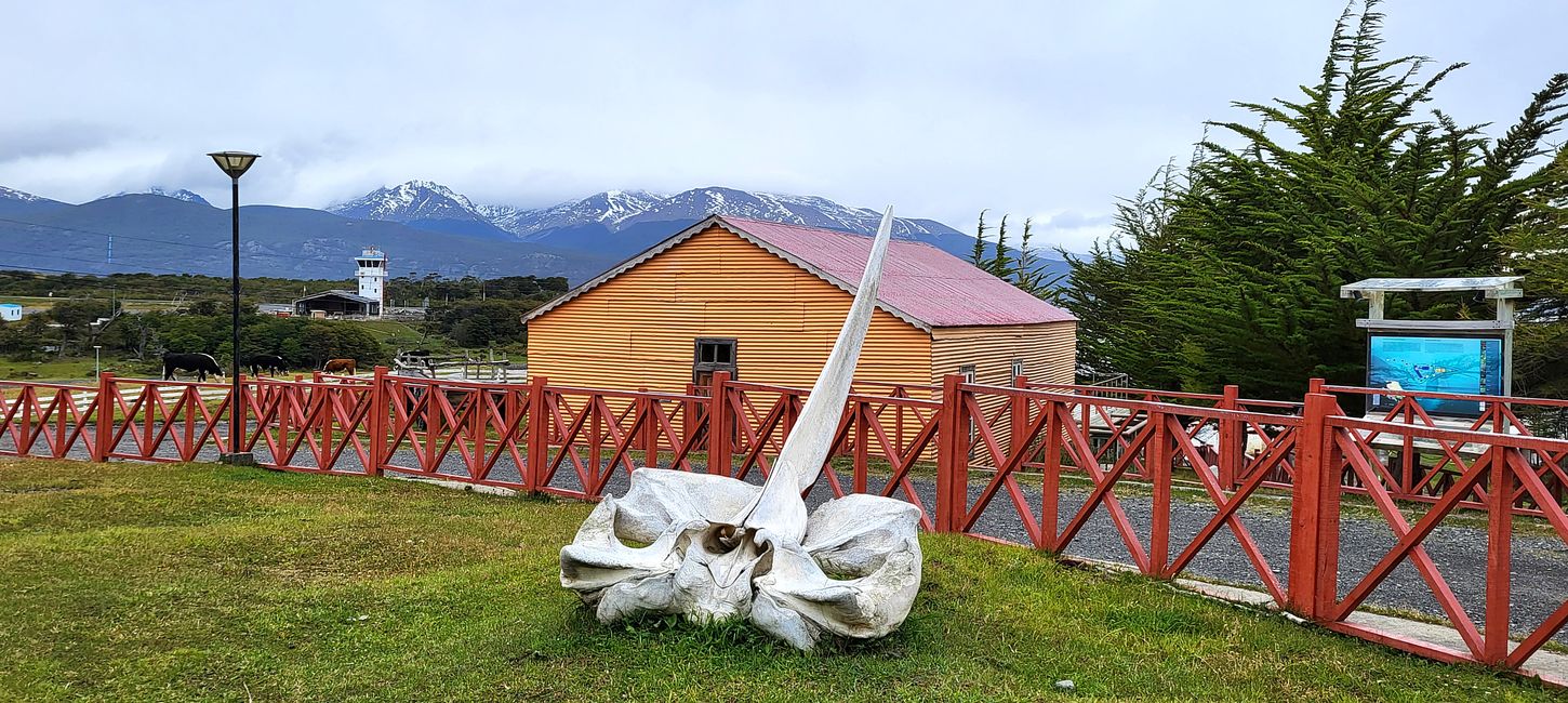 Geschichte von Puerto Williams