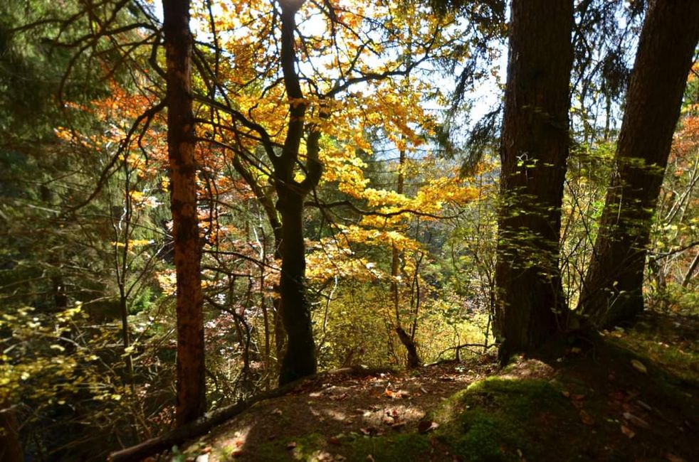 Senderismo de otoño en el Wutachschlucht: rojo, amarillo, naranja... ¡y tú en medio!