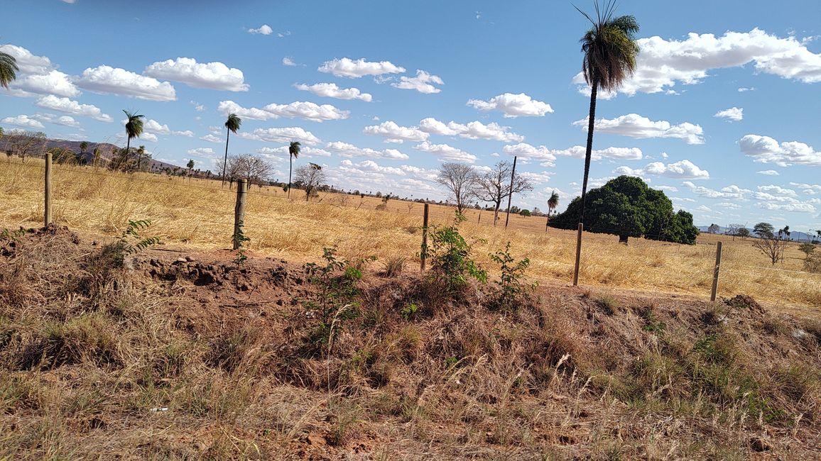 Brasil, en camino al Parque Nacional Diamante