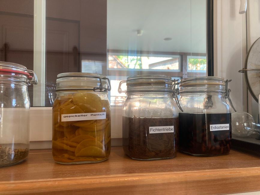 Friedland, wo alles so friedlich ist